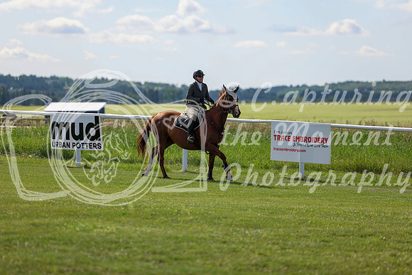 2025 - Shea - Teesdale - Friday July 25th - 03974