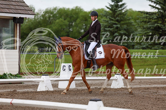 2025 - Dressage Festival - Sunday July 6th - 01340