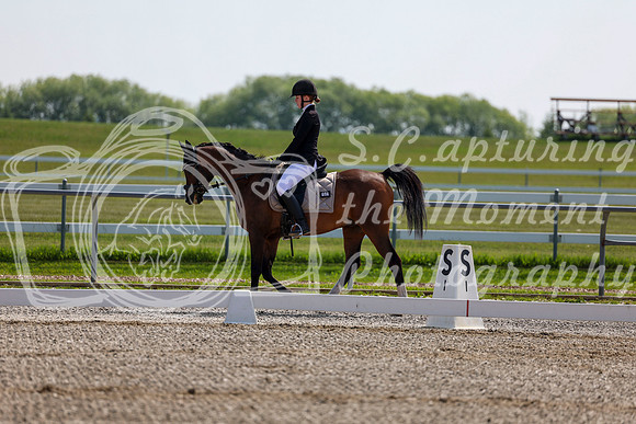 2025 - Dressage Festival - Saturday July 5th - 03090