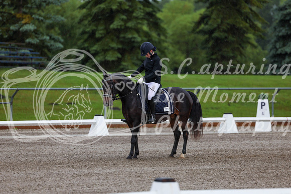 2025 - Dressage Festival - Sunday July 6th - 00008