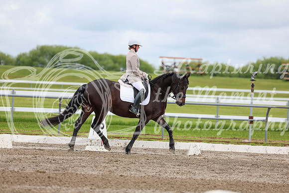 2025 - Dressage Festival - Sunday July 6th - 10574