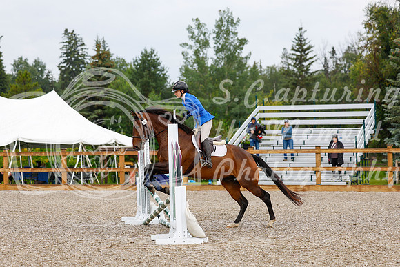 2025 - Haylee - Picco Horse Show - Sunday July 27th 00021