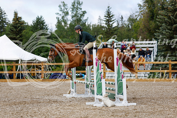 2025 - Haylee - Picco Horse Show - Sunday July 27th 02241
