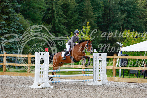 2025 - Haylee - Picco Horse Show - Sunday July 27th 02585