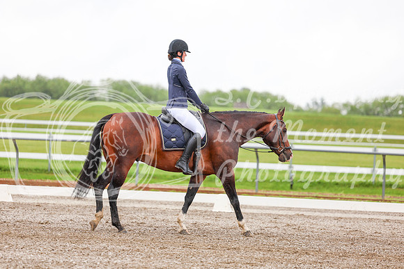 2025 - Dressage Festival - Sunday July 6th - 02265