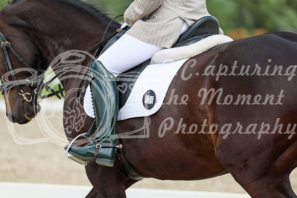 2025 - Dressage Festival - Saturday July 5th - 10655