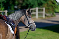 2025 - Haylee - Picco Horse Show - Thursday July 24th 00002