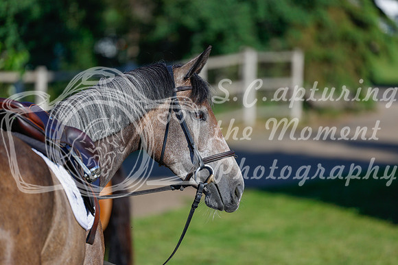 2025 - Haylee - Picco Horse Show - Thursday July 24th 00002