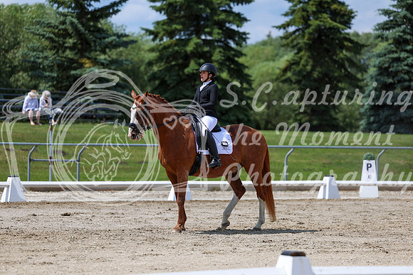 2025 - Dressage Festival - Saturday July 5th - 10089