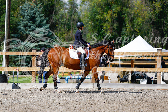 2025 - Haylee - Picco Horse Show - Sunday July 27th 05534
