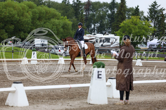 2025 - Dressage Festival - Sunday July 6th - 05219