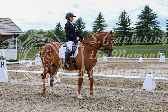 2025 - Dressage Festival - Saturday July 5th - 11173