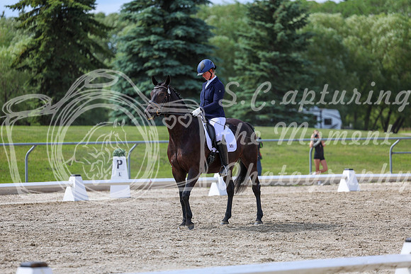 2025 - Dressage Festival - Saturday July 5th - 14795