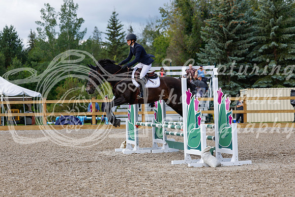 2025 - Haylee - Picco Horse Show - Sunday July 27th 02856
