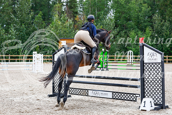 2025 - Haylee - Picco Horse Show - Friay July 25th 02813