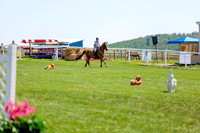 2025 - Shea - Teesdale - Thursday July 24th - 01740