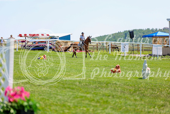 2025 - Shea - Teesdale - Thursday July 24th - 01740