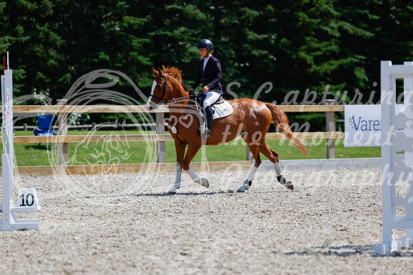 2025 - Haylee - Picco Horse Show - Thursday July 24th 03898