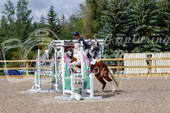 2025 - Haylee - Picco Horse Show - Sunday July 27th 02464