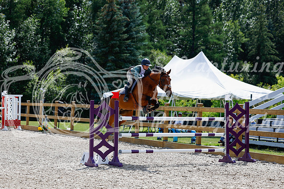 2025 - Haylee - Picco Horse Show - Thursday July 24th 04356