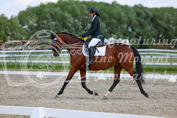 2025 - Dressage Festival - Saturday July 5th - 09503