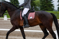 2025 - Dressage Festival - Sunday July 6th - 00606