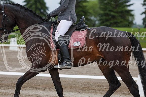 2025 - Dressage Festival - Sunday July 6th - 00606