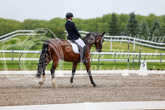 2025 - Dressage Festival - Sunday July 6th - 04261