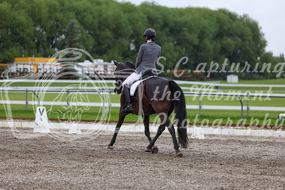 2025 - Dressage Festival - Sunday July 6th - 07111
