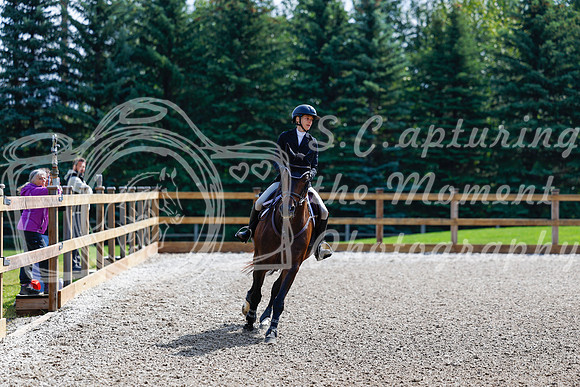 2025 - Haylee - Picco Horse Show - Sunday July 27th 02407