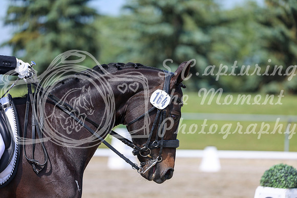 2025 - Dressage Festival - Saturday July 5th - 03554
