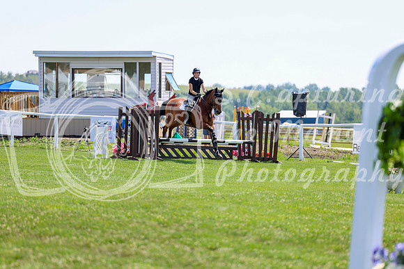 2025 - Shea - Teesdale - Thursday July 24th - 01541