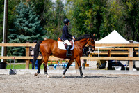 2025 - Haylee - Picco Horse Show - Sunday July 27th 05535