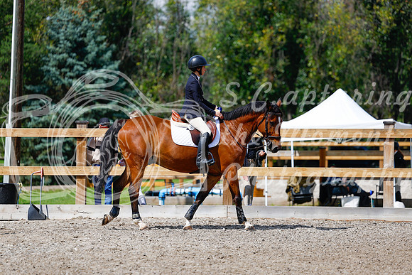 2025 - Haylee - Picco Horse Show - Sunday July 27th 05535