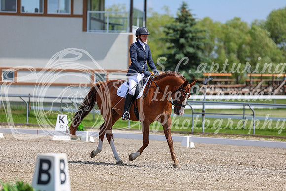 2025 - Dressage Festival - Saturday July 5th - 06359