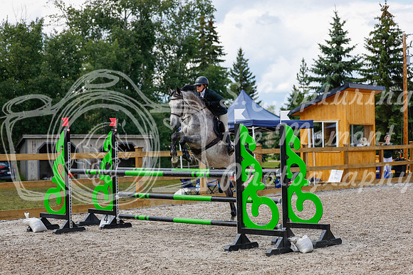 2025 - Haylee - Picco Horse Show - Sunday July 27th 05891