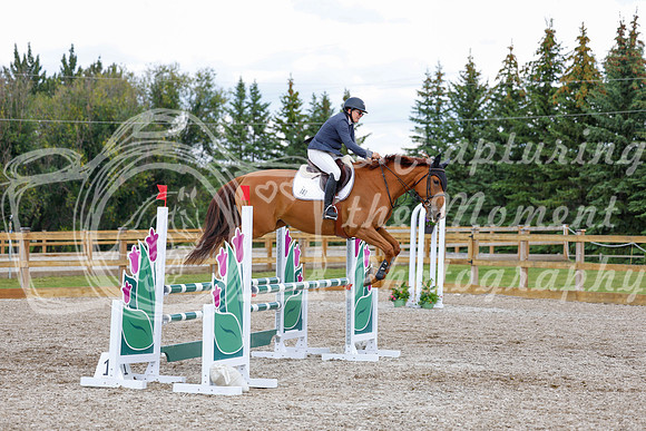 2025 - Haylee - Picco Horse Show - Saturday July 26th 07288
