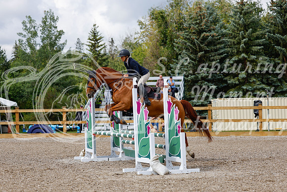 2025 - Haylee - Picco Horse Show - Sunday July 27th 02677