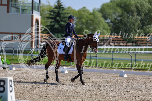 2025 - Dressage Festival - Saturday July 5th - 03976