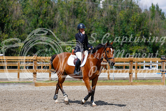 2025 - Haylee - Picco Horse Show - Sunday July 27th 05545