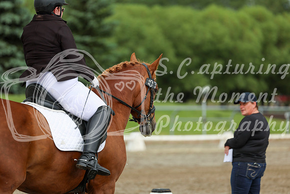 2025 - Dressage Festival - Sunday July 6th - 11264