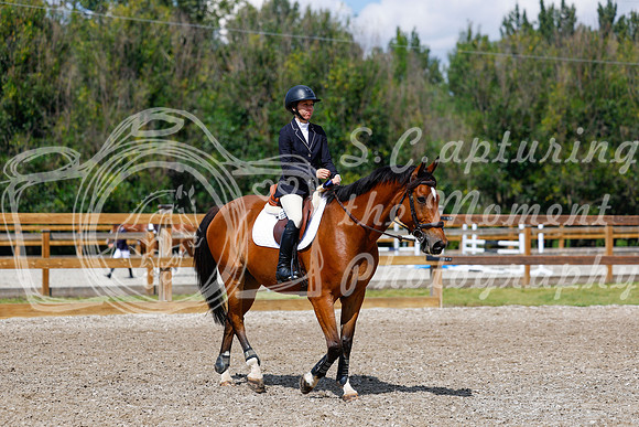2025 - Haylee - Picco Horse Show - Sunday July 27th 05547