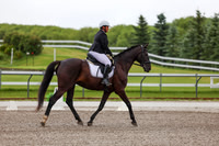 2025 - Dressage Festival - Sunday July 6th - 01262