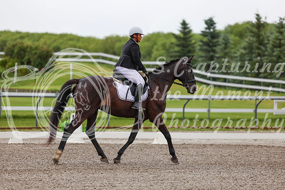 2025 - Dressage Festival - Sunday July 6th - 01262