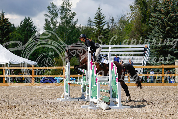2025 - Haylee - Picco Horse Show - Sunday July 27th 03078