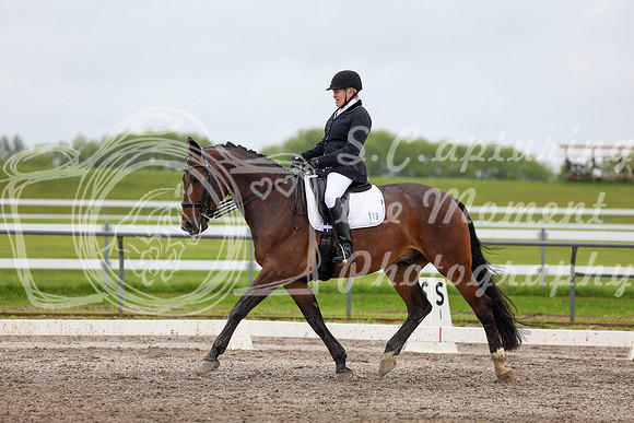 2025 - Dressage Festival - Sunday July 6th - 08794