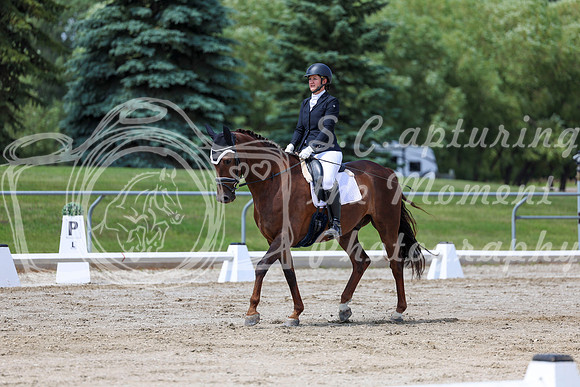 2025 - Dressage Festival - Saturday July 5th - 08477