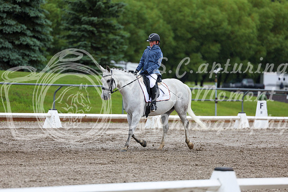 2025 - Dressage Festival - Sunday July 6th - 04825
