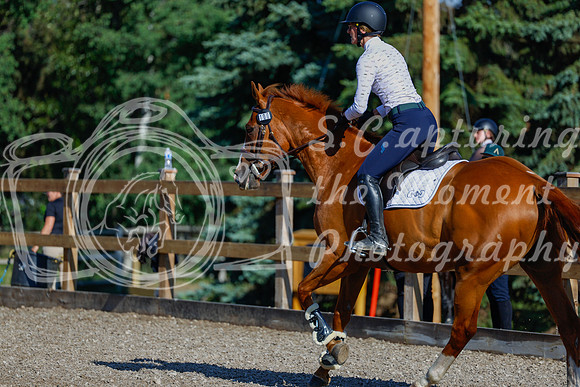 2025 - Haylee - Picco Horse Show - Thursday July 24th 00393
