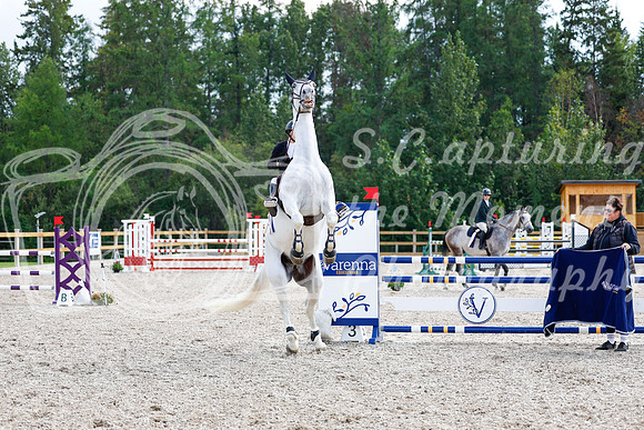 2025 - Haylee - Picco Horse Show - Sunday July 27th 06115